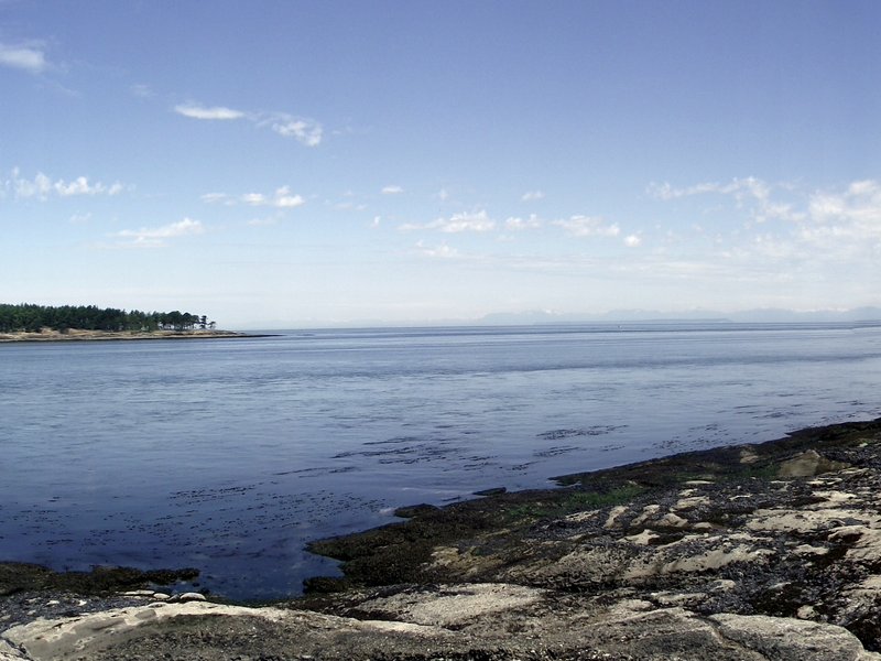 Saturna Island Library photo 1