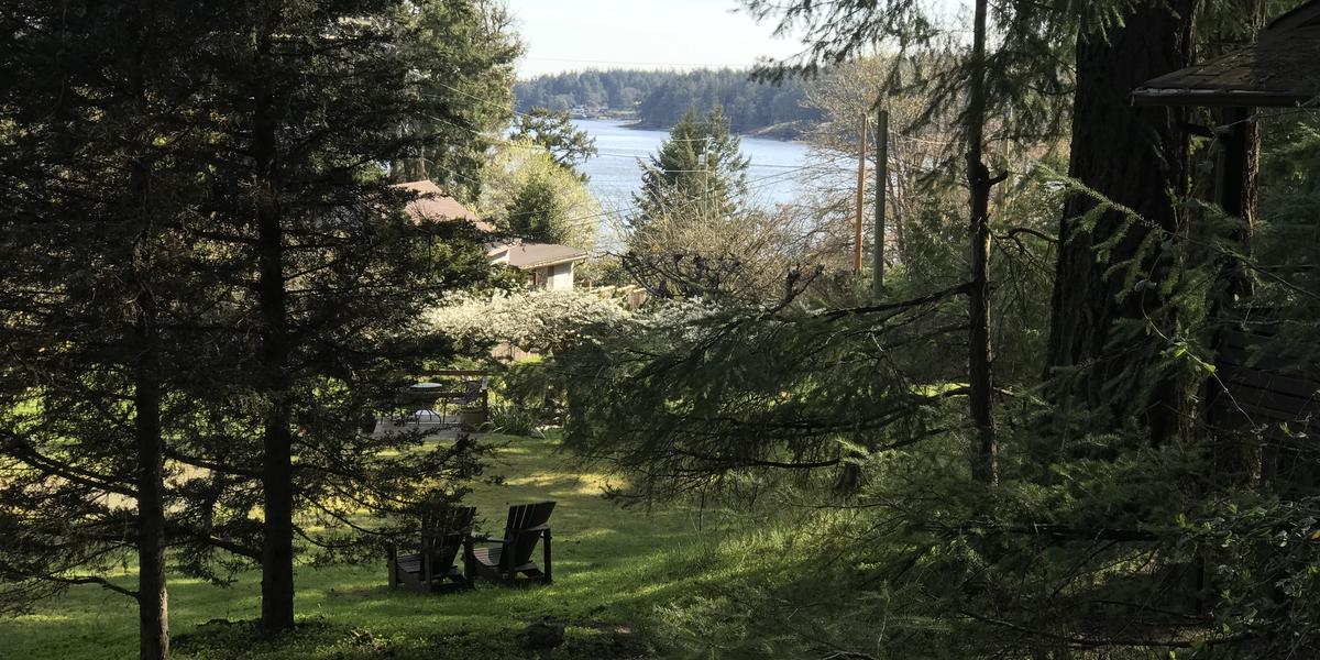 Driftwood Village photo 7