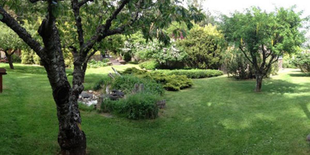 Driftwood Village photo 4