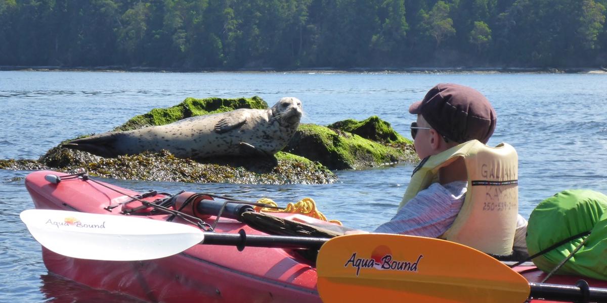 Gulf Island Kayaking photo 4