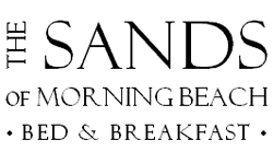 Sands of Morning Beach