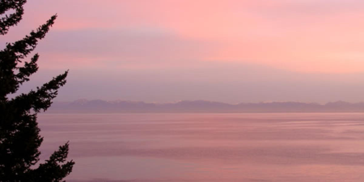 Seastar Cottage photo 5