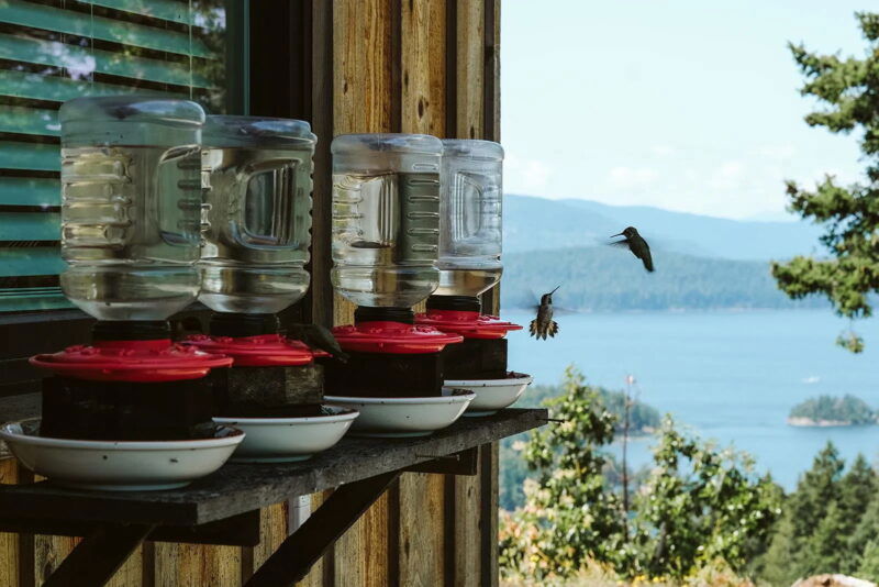 Galiano Properties - Pilar Osing photo 1