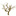 Steven Friedman logo